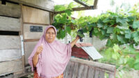 59. Bukan Hanya bagi Petani, Kampung Reforma Agraria Desa Duyu Juga Bantu Ekonomi Warga Sekitar