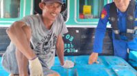 IMG-20251124-WA0007