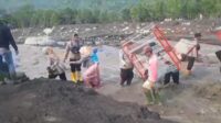 IMG-20251208-WA0004