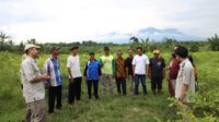 4. Jalan Kolaborasi Lintas Instansi Terbuka dari Reforma Agraria, Jadi Jawaban Penyelesaian Konflik di Desa Soso