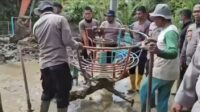 VID-20260104-WA0116