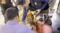 VID-20260131-WA0034(1)