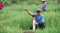 38. Mudik ke Kampung Halaman Jaga Batas Tanah sebagai Langkah Awal Cegah Konflik Antartetangga