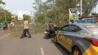 IMG-20260429-WA0018