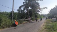 IMG-20260613-WA0020